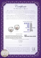 product certificate: FW-W-AAAA-67-E-Sharon