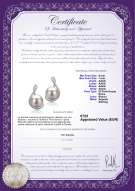 product certificate: FW-W-AAAA-67-E-Tamika