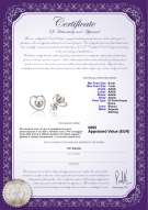Certificato di prodotto: FW-W-AAAA-67-E-Winna