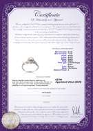 Certificato di prodotto: FW-W-AAAA-67-R-Andrea