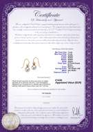 Certificato di prodotto: FW-W-AAAA-78-E-Artsy