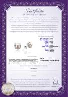 Certificato di prodotto: FW-W-AAAA-78-E-Britt