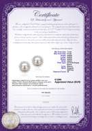 Certificato di prodotto: FW-W-AAAA-78-E-Dreama