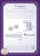 product certificate: FW-W-AAAA-78-E-Natasha