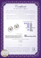 Certificato di prodotto: FW-W-AAAA-78-E-Raina