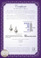 Product certificate: FW-W-AAAA-78-E-Valery
