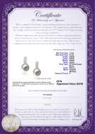 Certificato di prodotto: FW-W-AAAA-78-E-Valery
