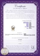 Certificato di prodotto: FW-W-AAAA-78-L1