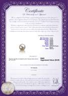 product certificate: FW-W-AAAA-78-L1