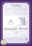 product certificate: FW-W-AAAA-78-R-Forever