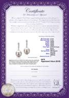Certificato di prodotto: FW-W-AAAA-89-E-Aoife