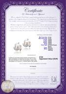 Certificato di prodotto: FW-W-AAAA-89-E-Eva