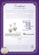  Certificato di prodotto: FW-W-AAAA-89-E-Taima