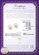 product certificate: FW-W-AAAA-89-E-Zina