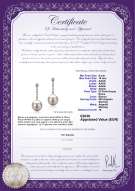Certificato di prodotto: FW-W-AAAA-910-E-Ariel