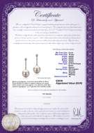 product certificate: FW-W-AAAA-910-E-Ariel