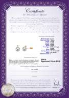  Certificato di prodotto: FW-W-AAAA-910-E-Eternity-YG-L