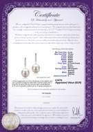  Certificato di prodotto: FW-W-AAAA-910-E-Janet