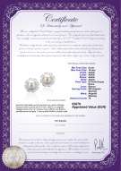 Certificato di prodotto: FW-W-AAAA-910-E-Leonie