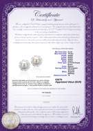 product certificate: FW-W-AAAA-910-E-Leonie