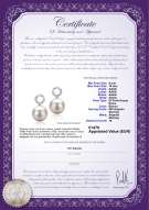 Certificato di prodotto: FW-W-AAAA-910-E-Shellry