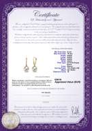 Certificato di prodotto: FW-W-AAAA-910-E-Sparkle