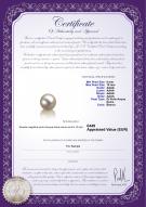 product certificate: FW-W-AAAA-910-L1