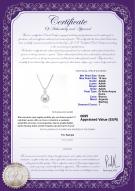 product certificate: FW-W-AAAA-910-P-Lauren