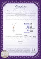 product certificate: FW-W-AAAA-910-P-Pamela