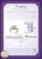  Certificato di prodotto: FW-W-AAAA-910-R-Royisal