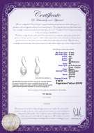 Certificato di prodotto: FW-W-EDS-1516-Baroque-E