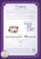 Certificato di prodotto: FWTAH-BW-AA-511-B