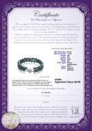  Certificato di prodotto: JAK-B-AA-67-B-DBL