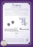 product certificate: JAK-B-AA-67-E-Jodie