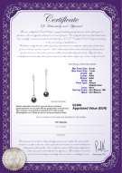 Certificato di prodotto: JAK-B-AA-67-E-Misha