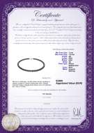 Certificato di prodotto: JAK-B-AA-775-N