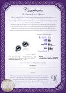 product certificate: JAK-B-AA-78-E-Angelina