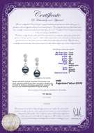 Certificato di prodotto: JAK-B-AA-78-E-Colleen