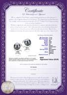  Certificato di prodotto: JAK-B-AA-78-E-Gilda
