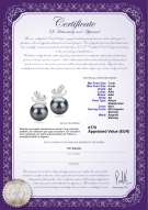 Certificato di prodotto: JAK-B-AA-78-E-Marsha