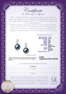 Certificato di prodotto: JAK-B-AA-78-E-Valery