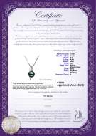  Certificato di prodotto: JAK-B-AA-78-P-Destina