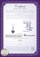 Certificato di prodotto: JAK-B-AA-78-P-Zalina