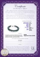 Certificato di prodotto: JAK-B-AA-89-B