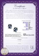 Certificato di prodotto: JAK-B-AA-89-E-Francine
