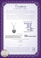  Certificato di prodotto: JAK-B-AA-89-P-Ellice