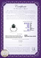 Certificato di prodotto: JAK-B-AA-89-R-Sarah