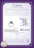 product certificate: JAK-B-AAA-78-R-Caroline