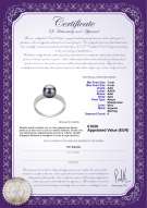 Certificato di prodotto: JAK-B-AAA-78-R-Marian