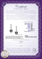 Certificato di prodotto: JAK-B-AAA-89-E-Rozene
